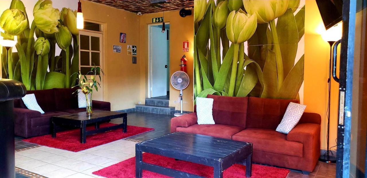 Hotel Ollanta Ica Eksteriør billede
